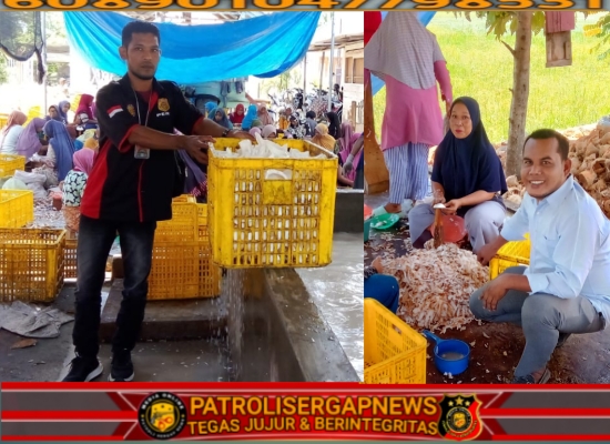 Toke Penampung Kelapa di Bireuen, Ciptakan Lapangan Kerja Bagi Kaum Emak-Emak