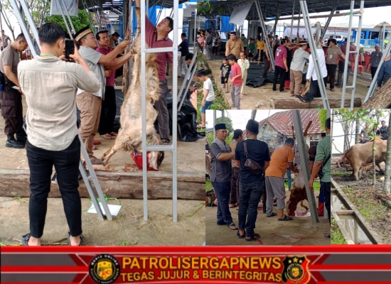 Wujudkan Rasa Syukur Kapolres Tanjab Barat, Adakan Pemotongan Hewan Qurban