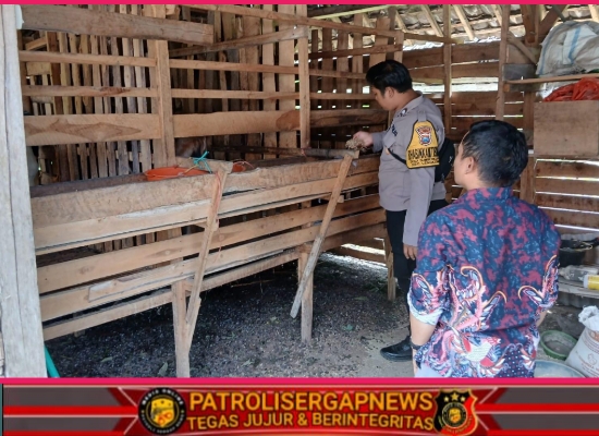 Polsek Lengkong Dukung Ketahanan Pangan Lewat Pemantauan Peternakan Warga