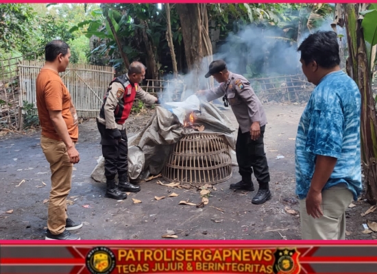 Tindaklanjuti Laporan Warga Polisi Bongkar Arena Sabung Ayam di Sidoarjo