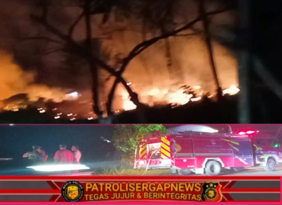 Kebakaran Landa Lapangan Milik Kecamatan Peudada di Sawang Bugeng, Api Berhasil Dipadamkan Damkar Bireuen